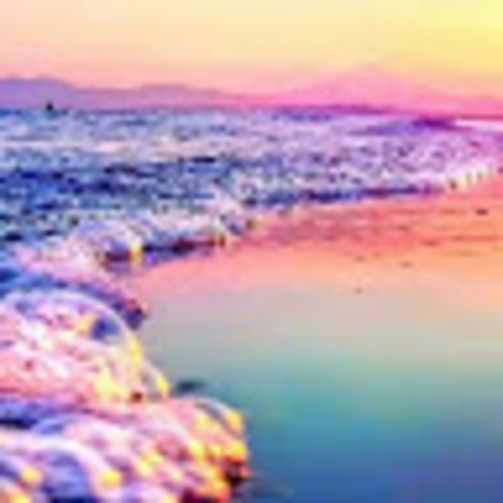 Meet your Posher, Paula